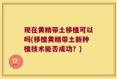 现在黄精带土移植可以吗(移植黄精带土新种植技术能否成功？)