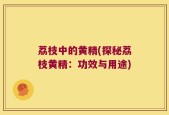 荔枝中的黄精(探秘荔枝黄精：功效与用途)