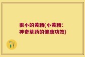 很小的黄精(小黄精：神奇草药的健康功效)