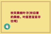 秋天黄精叶子(秋日里的黄精，叶层葱茏豪华壮观)