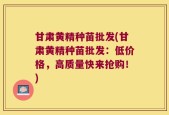 甘肃黄精种苗批发(甘肃黄精种苗批发：低价格，高质量快来抢购！)
