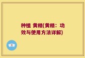种植 黄精(黄精：功效与使用方法详解)