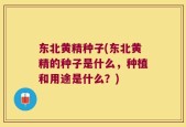 东北黄精种子(东北黄精的种子是什么，种植和用途是什么？)