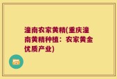 潼南农家黄精(重庆潼南黄精种植：农家黄金优质产业)