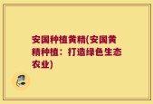 安国种植黄精(安国黄精种植：打造绿色生态农业)