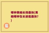 哪种黄精长得最快(黄精哪种生长速度最快？)