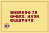 视频滇黄精种植(滇黄精种植实录：提高农民增收致富的好项目)