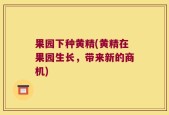果园下种黄精(黄精在果园生长，带来新的商机)