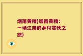 烟雨黄精(烟雨黄精：一场江南的乡村赏秋之旅)
