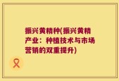 振兴黄精种(振兴黄精产业：种植技术与市场营销的双重提升)