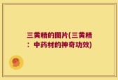 三黄精的图片(三黄精：中药材的神奇功效)