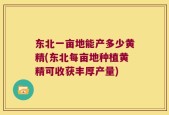 东北一亩地能产多少黄精(东北每亩地种植黄精可收获丰厚产量)