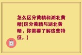 怎么区分黄精和湖北黄精(区分黄精与湖北黄精，你需要了解这些特征。)