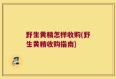 野生黄精怎样收购(野生黄精收购指南)