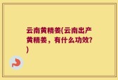 云南黄精姜(云南出产黄精姜，有什么功效？)