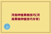 河南种植黄精技巧(河南黄精种植技巧分享)