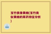 玉竹很像黄精(玉竹类似黄精的草药特征分析)