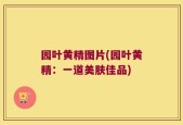 园叶黄精图片(园叶黄精：一道美肤佳品)