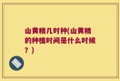 山黄精几时种(山黄精的种植时间是什么时候？)