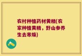 农村种植药材黄精(农家种植黄精，野山参养生去寒燥)
