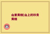 山里黄精(山上的珍贵黄精