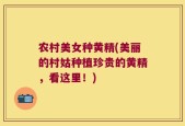 农村美女种黄精(美丽的村姑种植珍贵的黄精，看这里！)