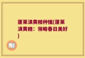 蓬莱滇黄精种植(蓬莱滇黄精：领略春日美好)