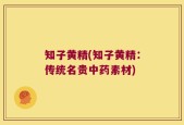 知子黄精(知子黄精：传统名贵中药素材)