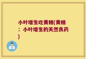 小叶增生吃黄精(黄精：小叶增生的天然良药)