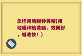 怎样用地膜种黄精(用地膜种植黄精，效果好，增收快！)