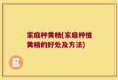 家庭种黄精(家庭种植黄精的好处及方法)