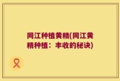 同江种植黄精(同江黄精种植：丰收的秘诀)