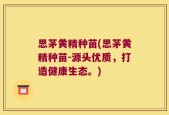 思茅黄精种苗(思茅黄精种苗-源头优质，打造健康生态。)