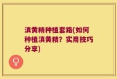 滇黄精种植套路(如何种植滇黄精？实用技巧分享)
