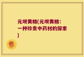 元坝黄精(元坝黄精：一种珍贵中药材的探索)