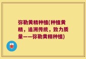 弥勒黄精种植(种植黄精，追溯传统，致力质量——弥勒黄精种植)