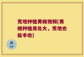 荒地种植黄精视频(黄精种植用处大，荒地也能丰收)