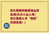 安化黄精种植基地山货出湘(长沙人山人海！安化黄精入冬“股民”热情高涨！)