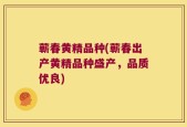 蕲春黄精品种(蕲春出产黄精品种盛产，品质优良)