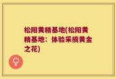 松阳黄精基地(松阳黄精基地：体验采摘黄金之花)
