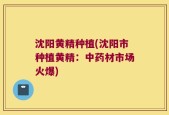 沈阳黄精种植(沈阳市种植黄精：中药材市场火爆)