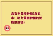 鑫农丰黄精种植(鑫农丰：助力黄精种植的优质供应链)