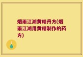 烟雨江湖黄精丹方(烟雨江湖用黄精制作的药方)