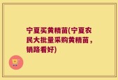 宁夏买黄精苗(宁夏农民大批量采购黄精苗，销路看好)