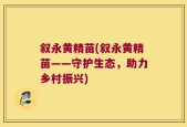 叙永黄精苗(叙永黄精苗——守护生态，助力乡村振兴)