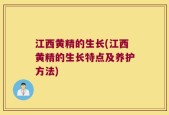 江西黄精的生长(江西黄精的生长特点及养护方法)