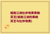 烟雨江湖杜仲地黄黄精灵芝(烟雨江湖的黄精灵芝与杜仲地黄)