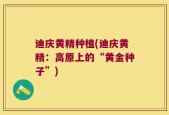 迪庆黄精种植(迪庆黄精：高原上的“黄金种子”)