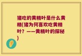 猪吃的黄精叶是什么黄精(猪为何喜欢吃黄精叶？——黄精叶的探秘)
