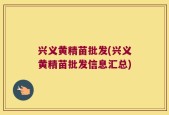 兴义黄精苗批发(兴义黄精苗批发信息汇总)